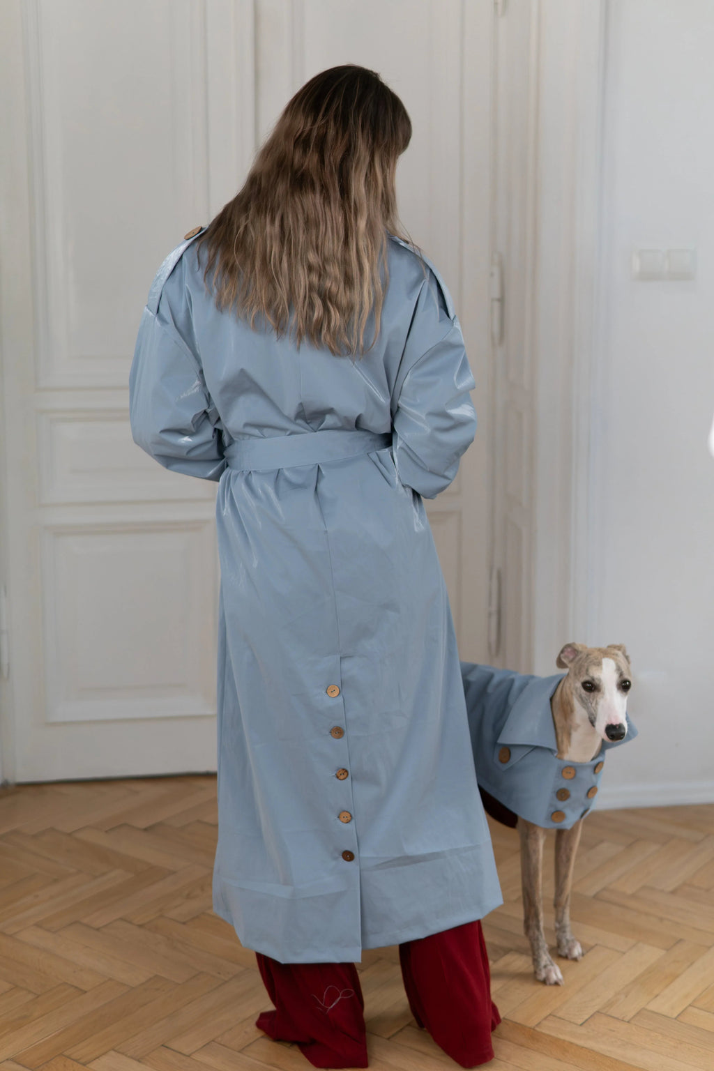 Gabardina impermeable para perro - Burgundy rojo