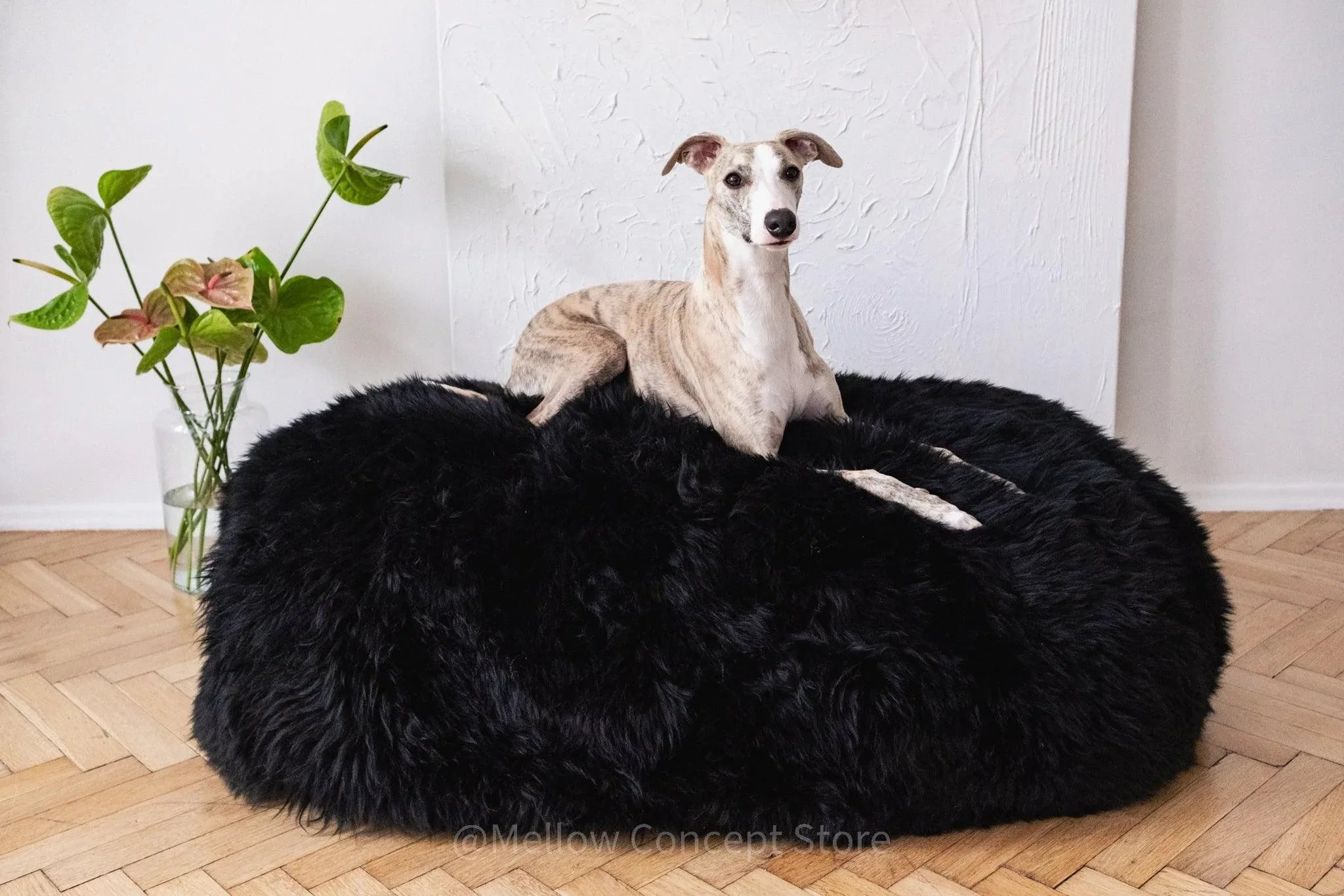 Cama ovalada de piel natural de oveja para mascotas - negro