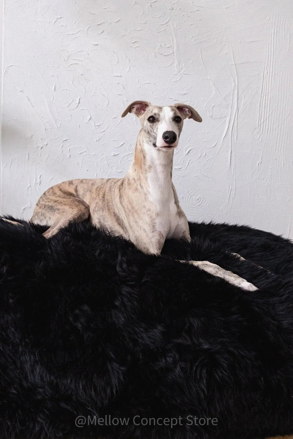 Cama ovalada de piel natural de oveja para mascotas - negro