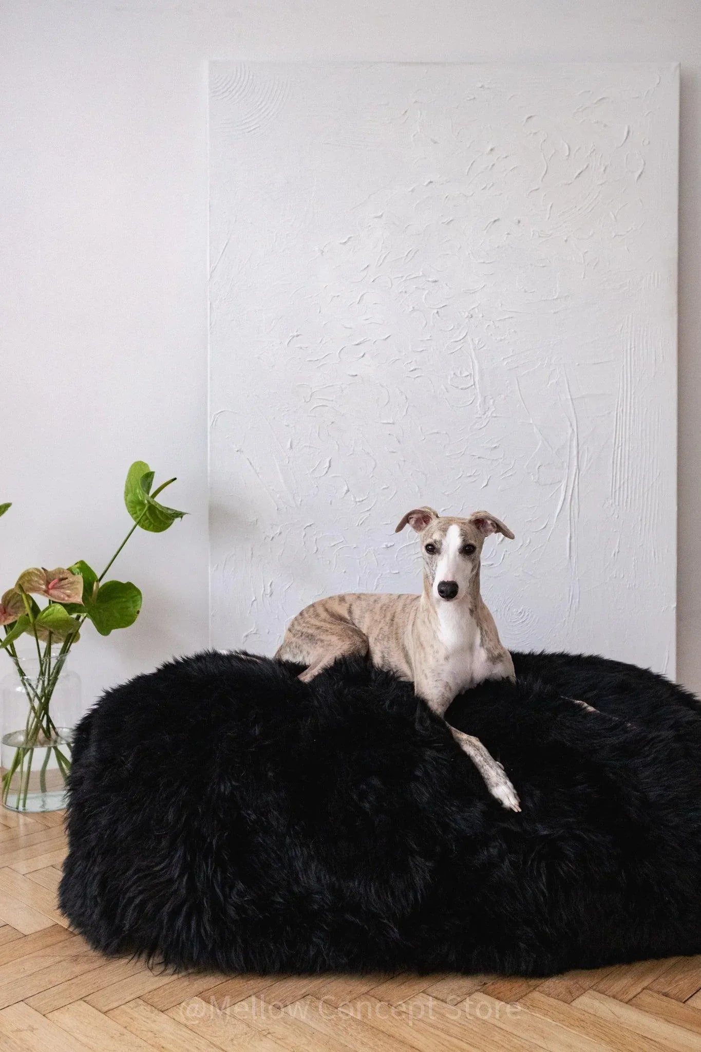 Cama ovalada de piel natural de oveja para mascotas - negro