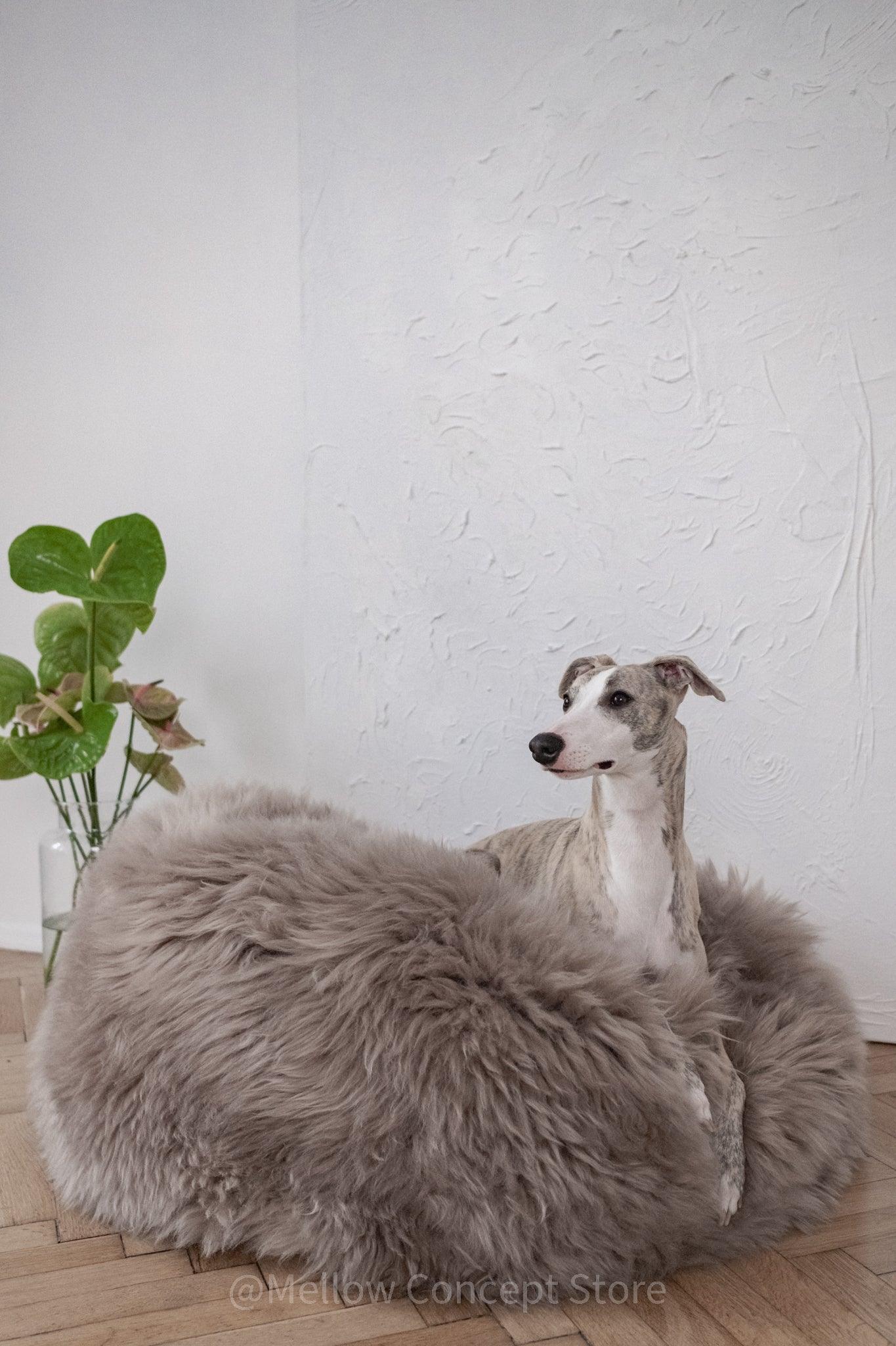 Cama ovalada de piel natural de oveja para mascotas - greige