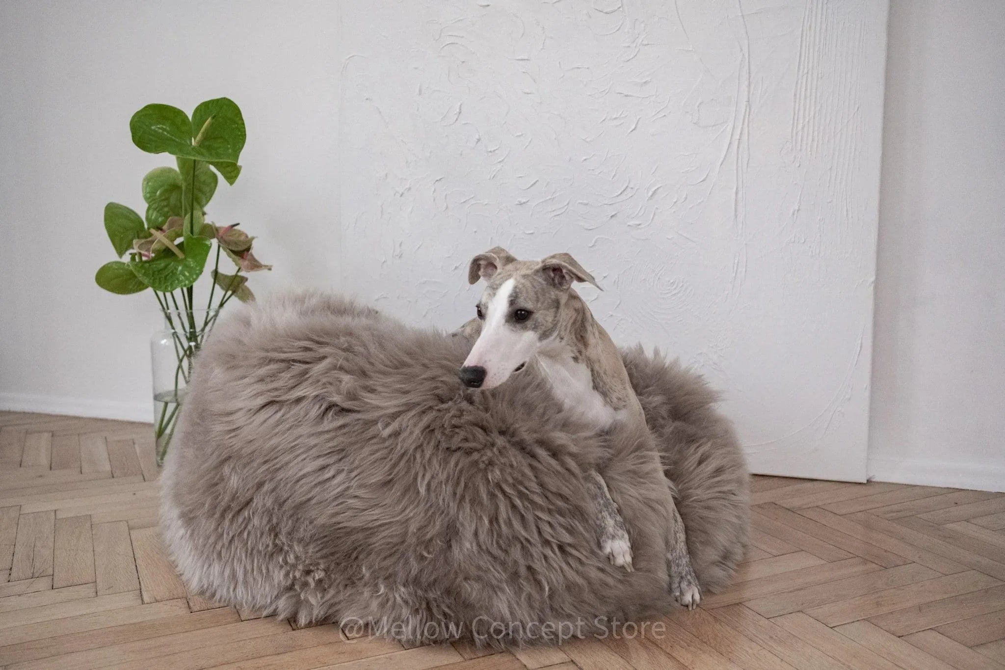 Cama ovalada de piel natural de oveja para mascotas - greige