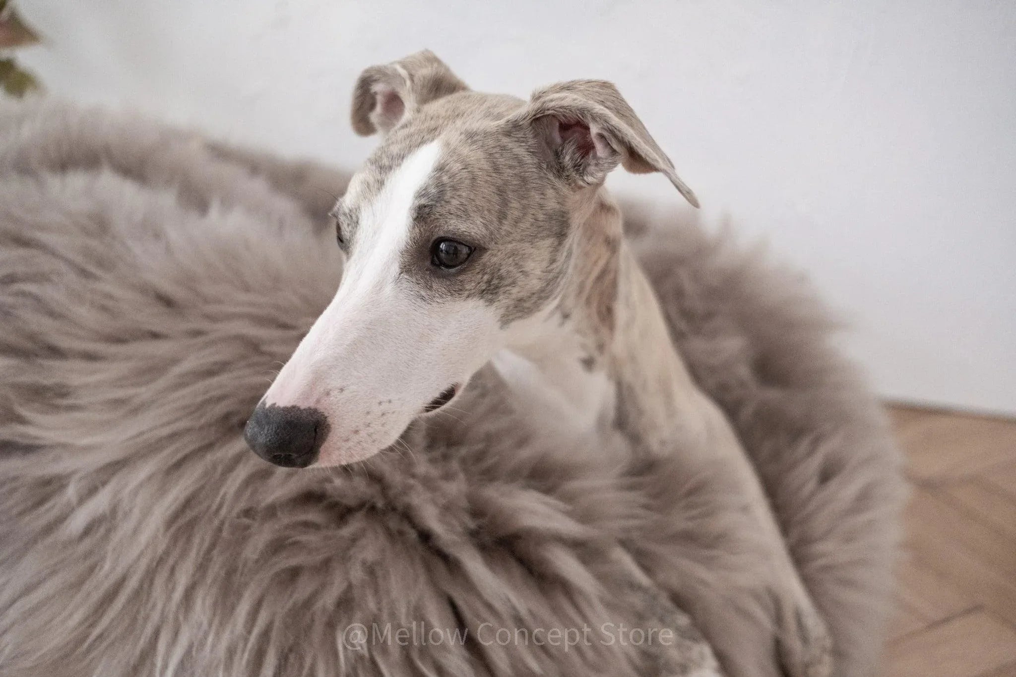 Cama ovalada de piel natural de oveja para mascotas - greige