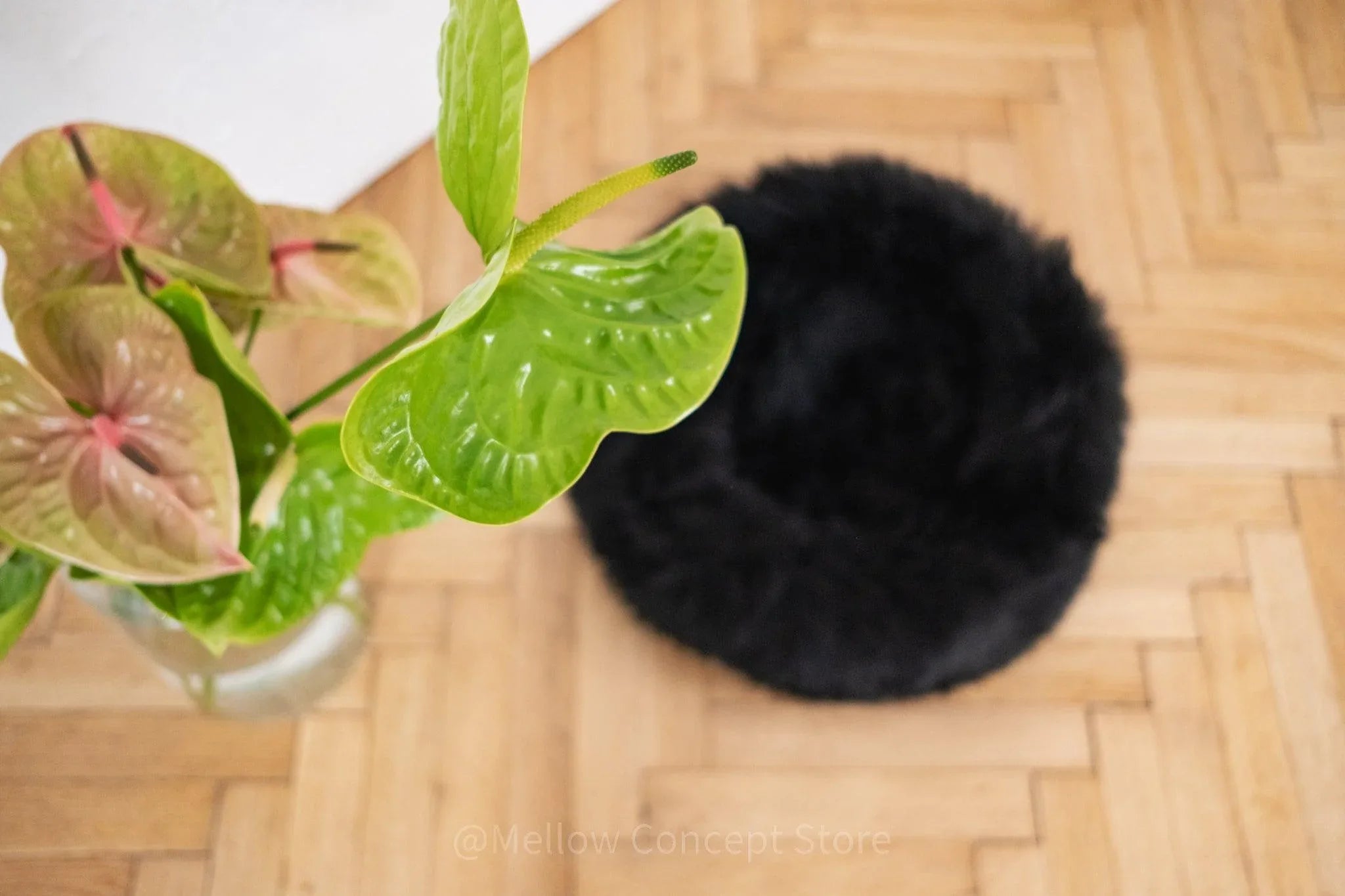 Cama redonda de piel natural de oveja para mascotas - negro