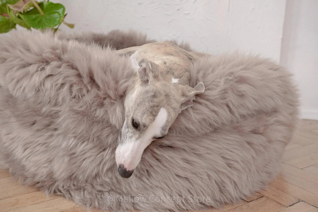 Cama ovalada de piel natural de oveja para mascotas - greige