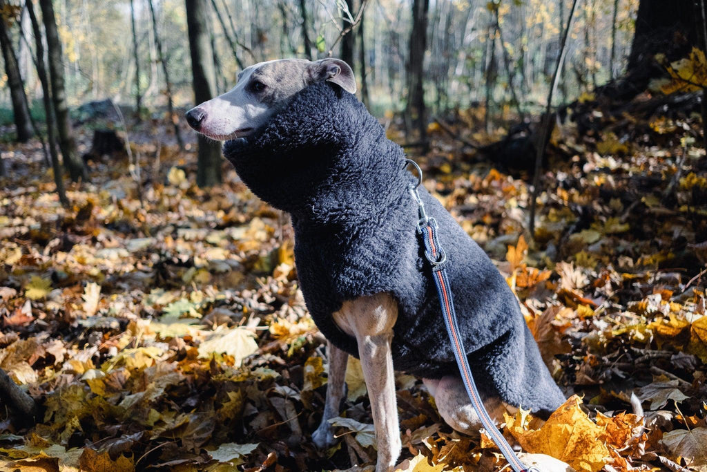 Lana Hund Vest - Charcoal
