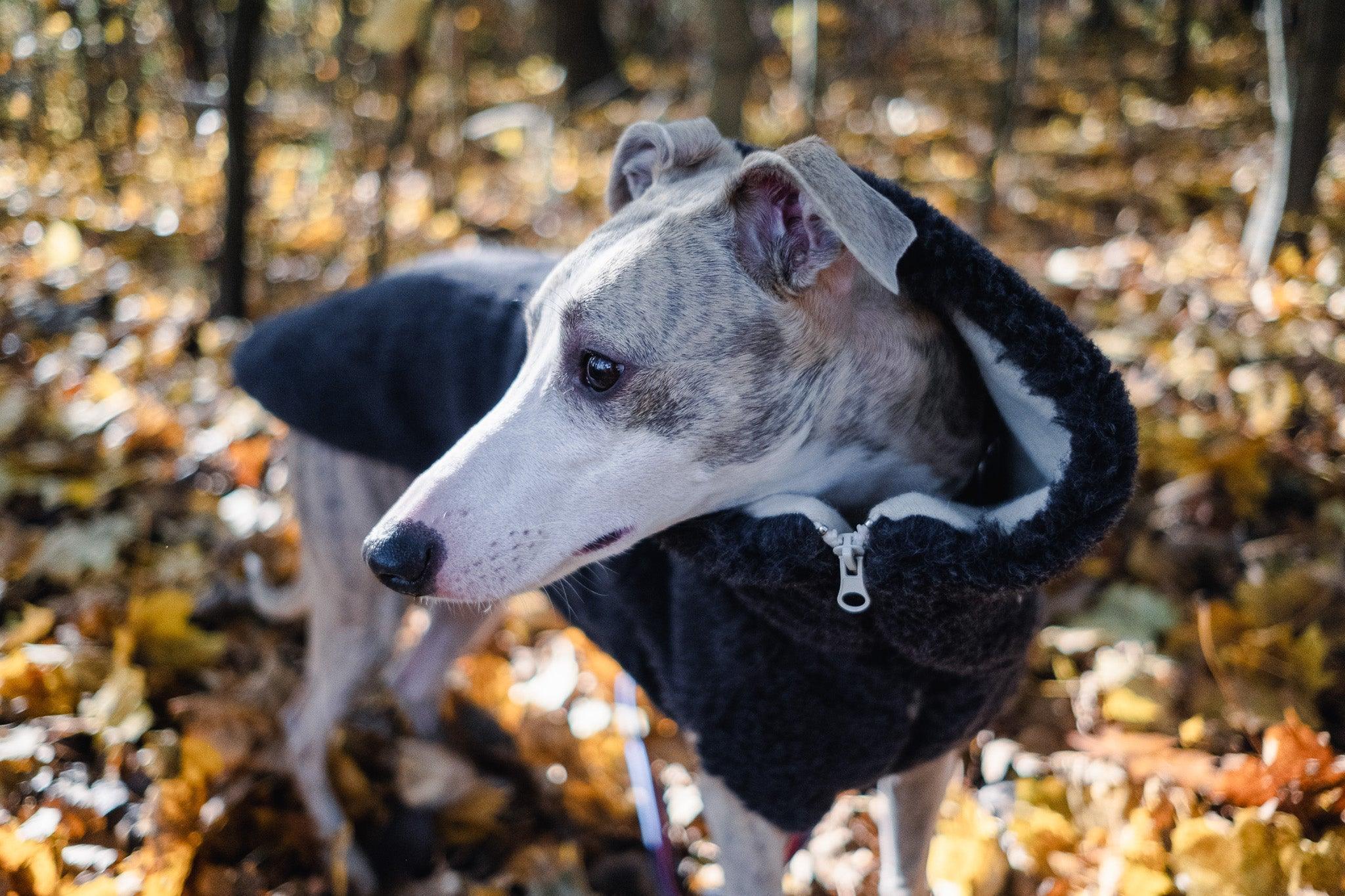Lana Hund Vest - Charcoal