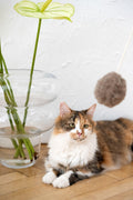 Natural lana Katze Toy: Ball