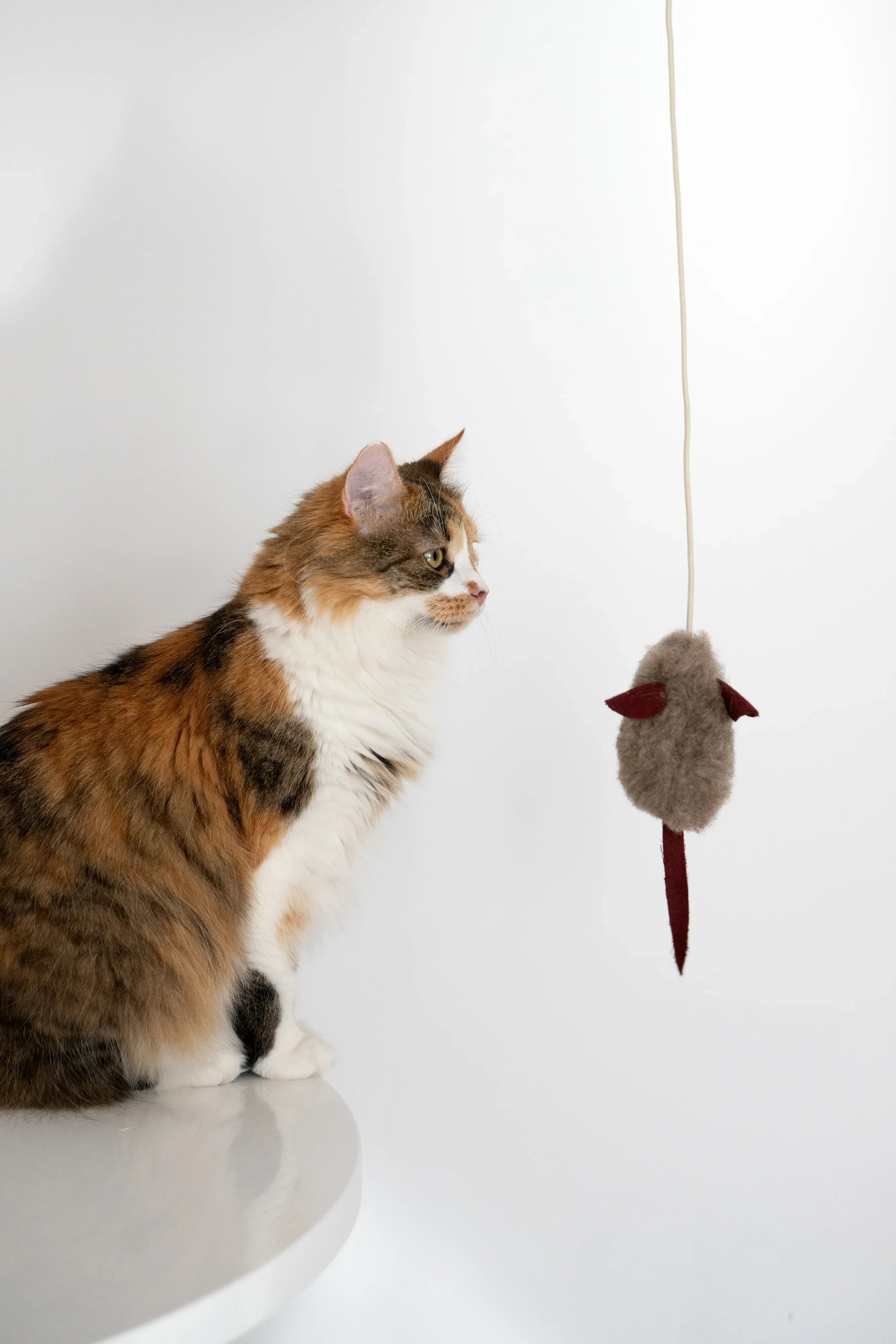 Natural lana Katze Toy: Mouse