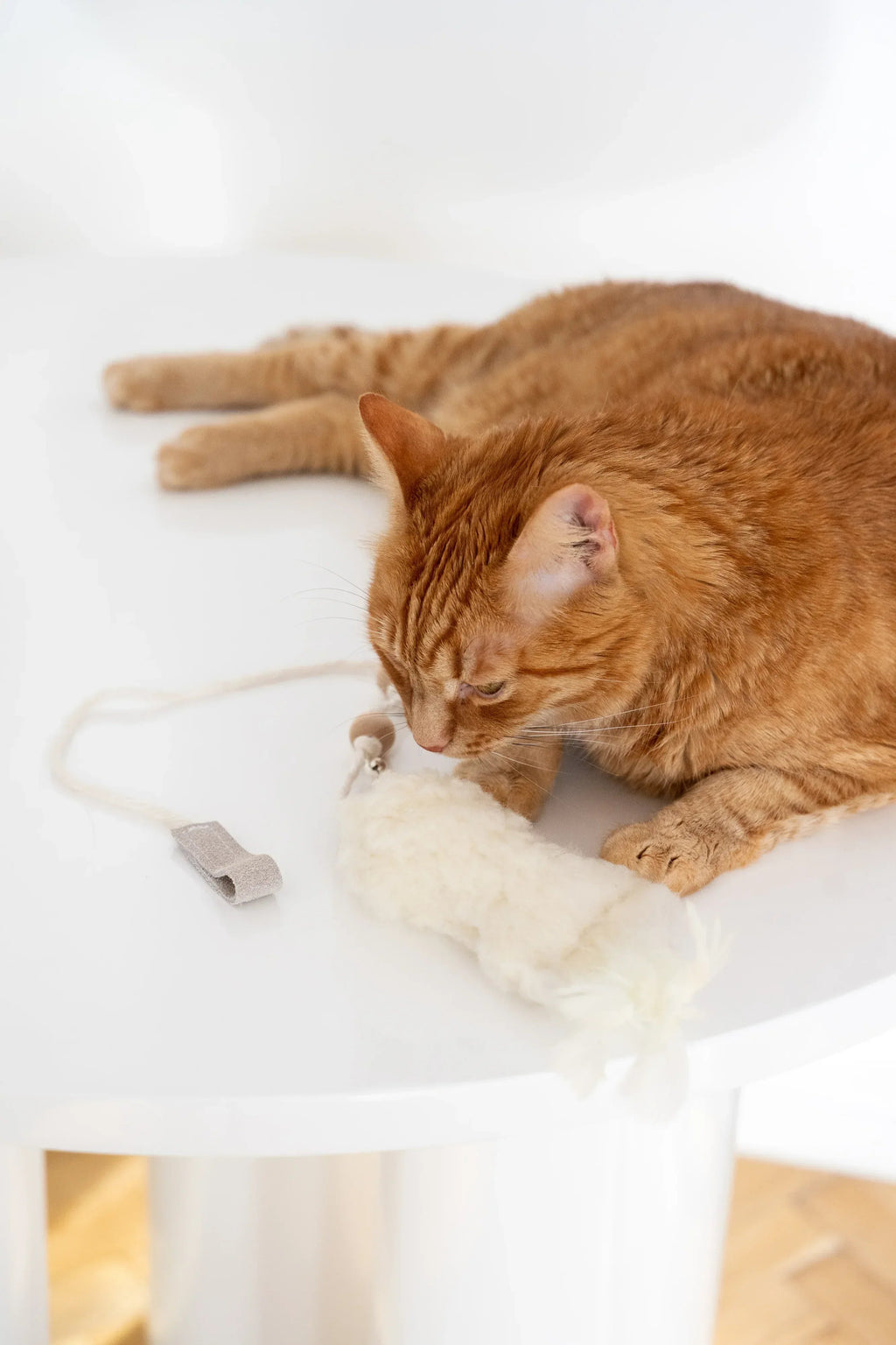Natural piel de oveja chat Toy: Fish