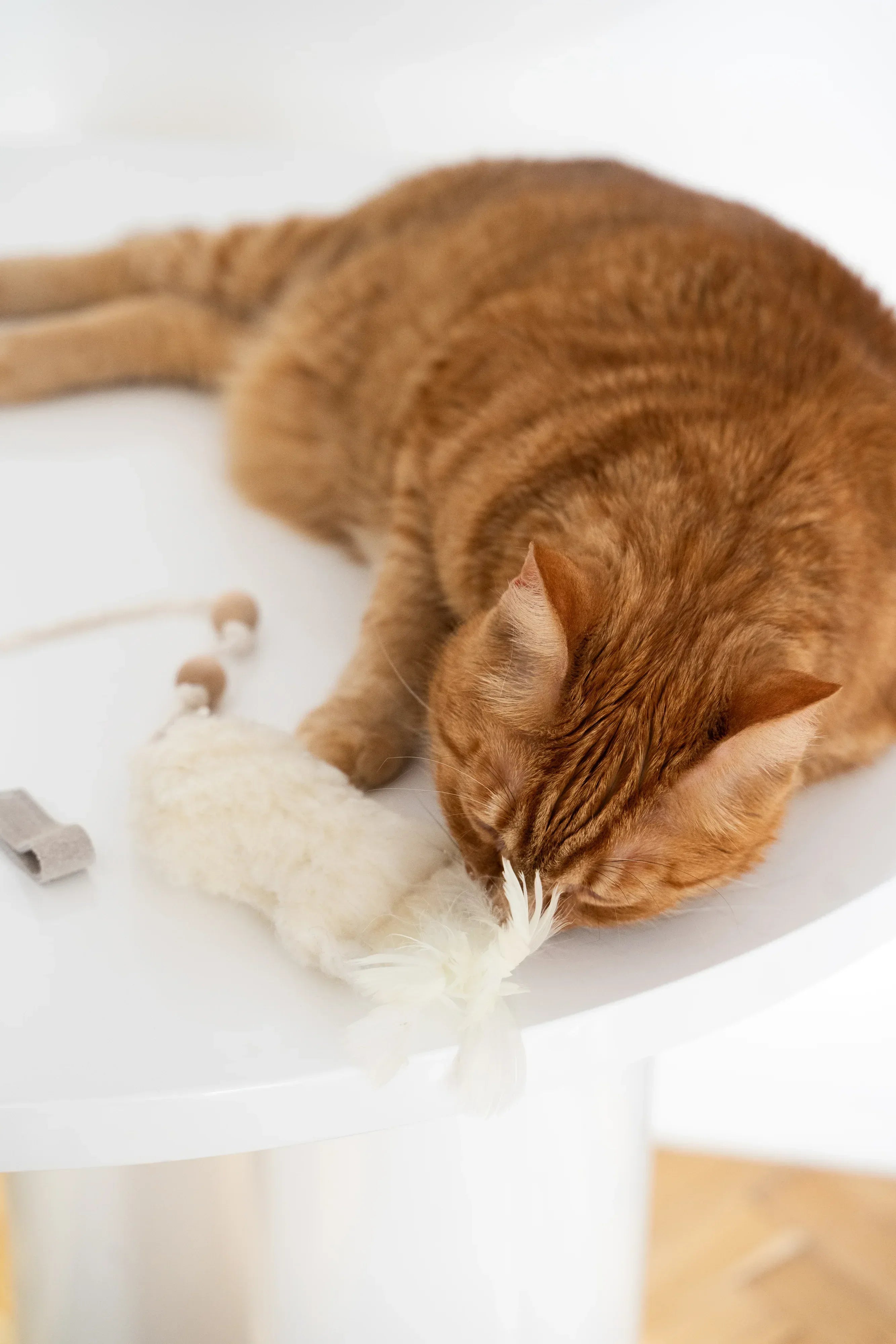 Natural lana Katze Toy: Fish