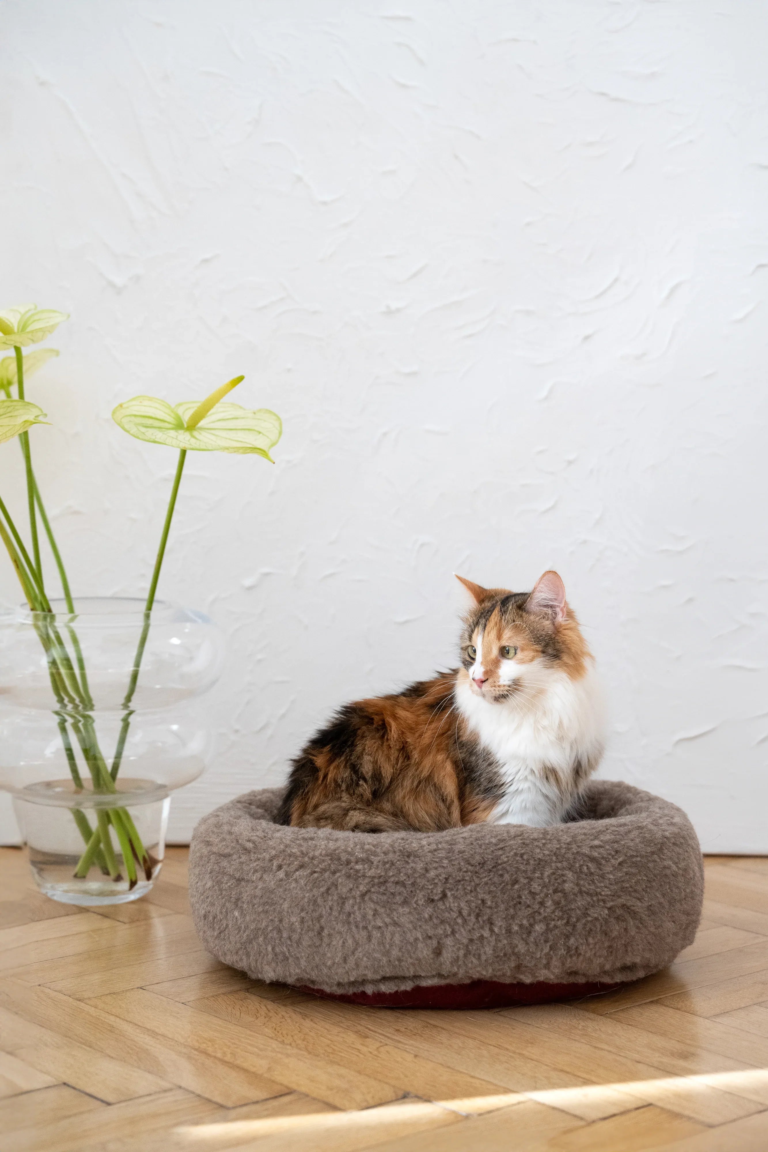 Cama redonda de lana natural para mascotas - beige