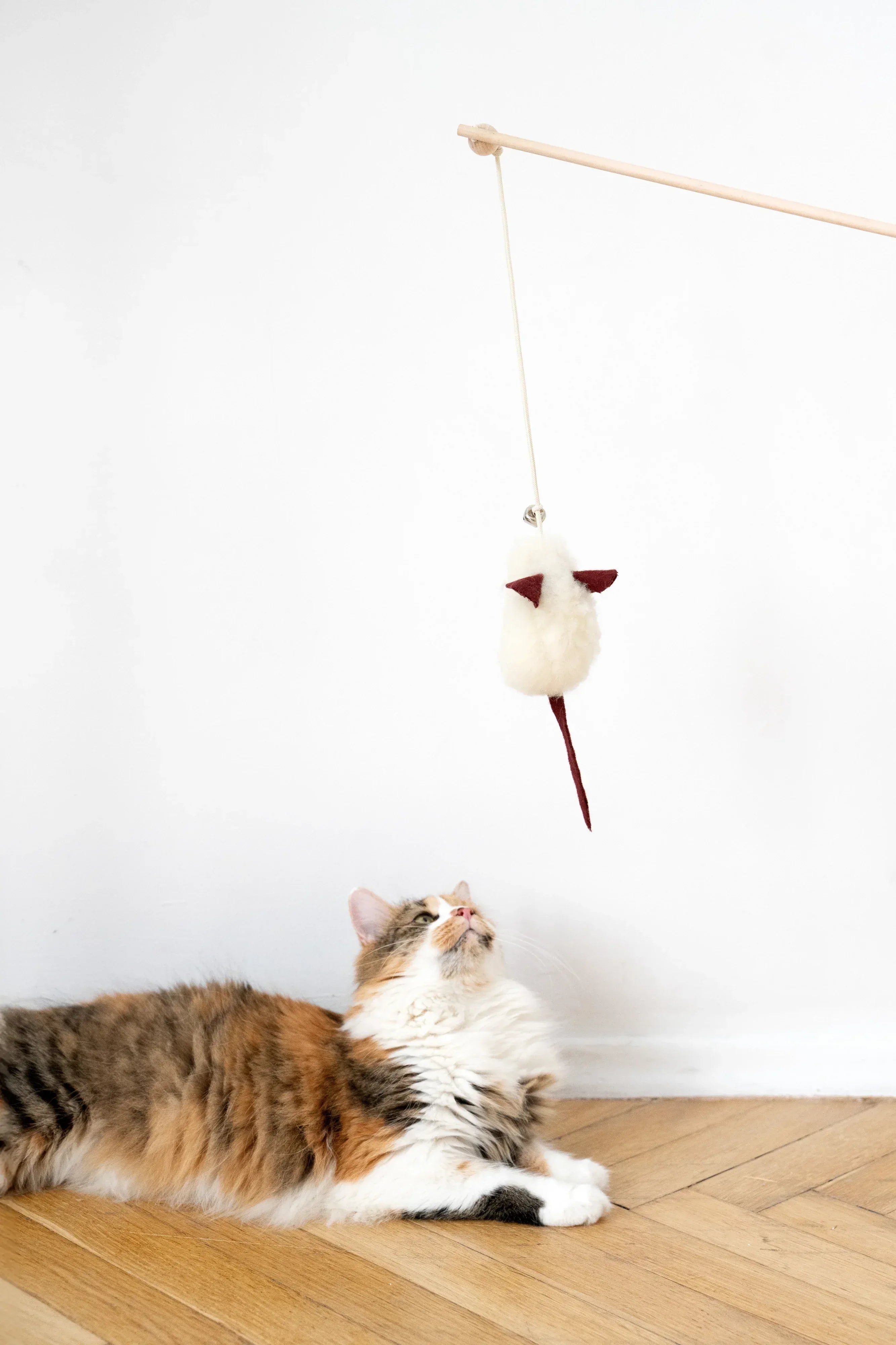 Natural lana Katze Toy: Mouse