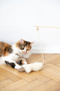 Natural piel de oveja chat Toy: Fish