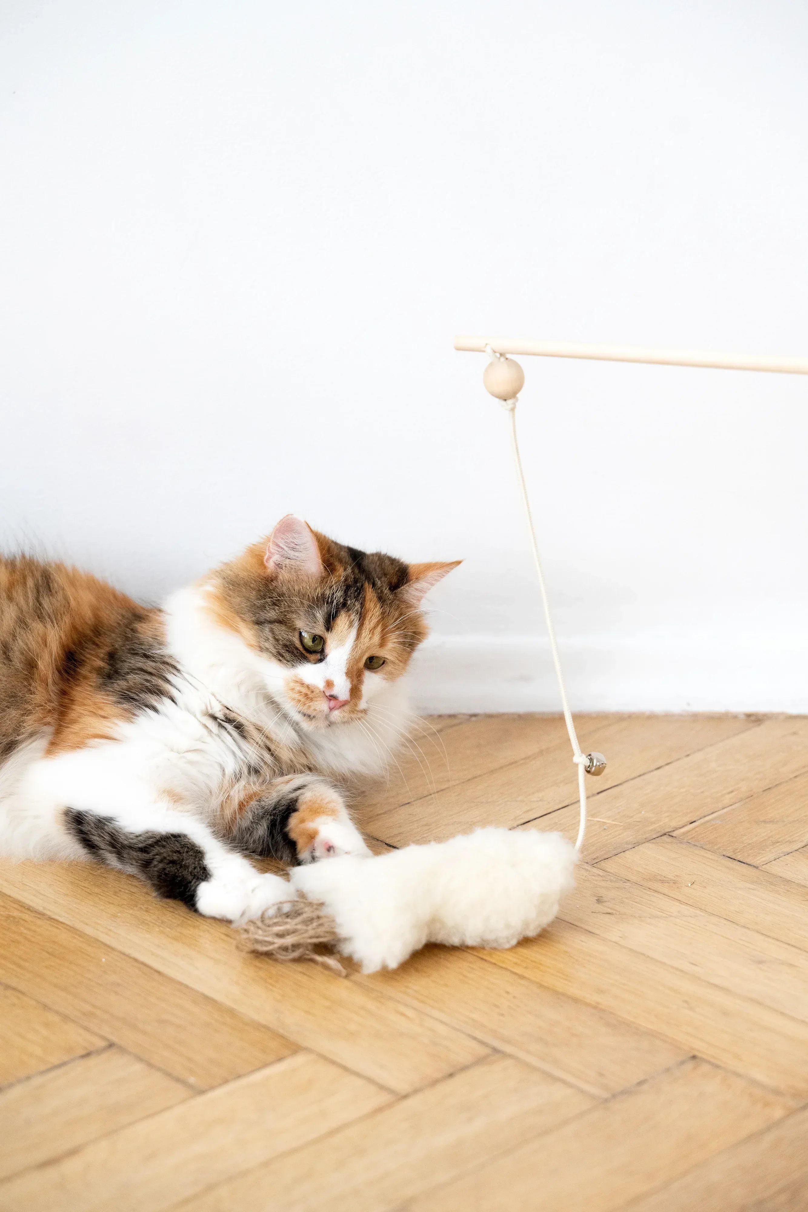 Natural lana Katze Toy: Fish