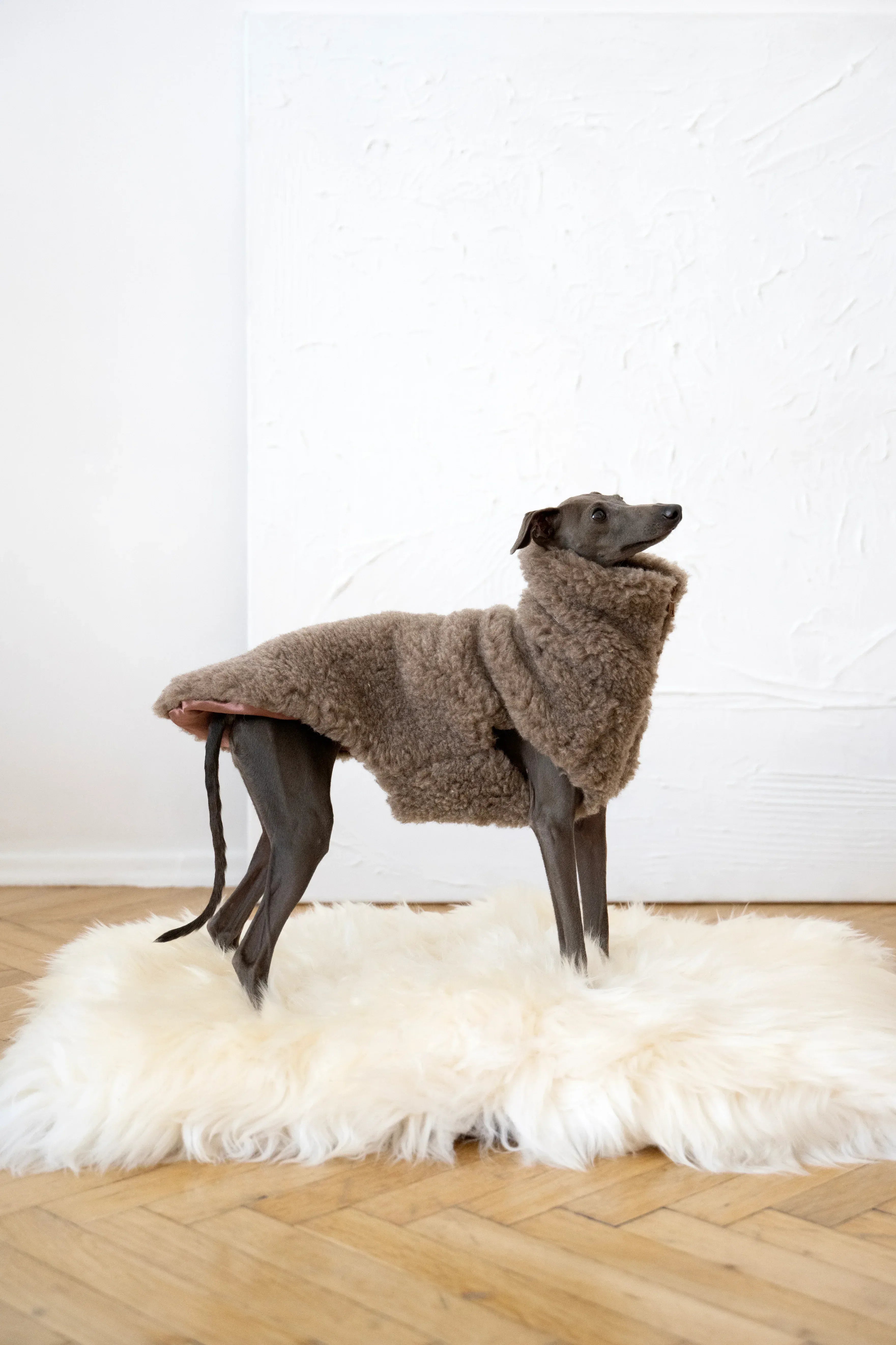 Alfombra natural de piel de oveja para mascotas cuadrada o rectangular - blanco