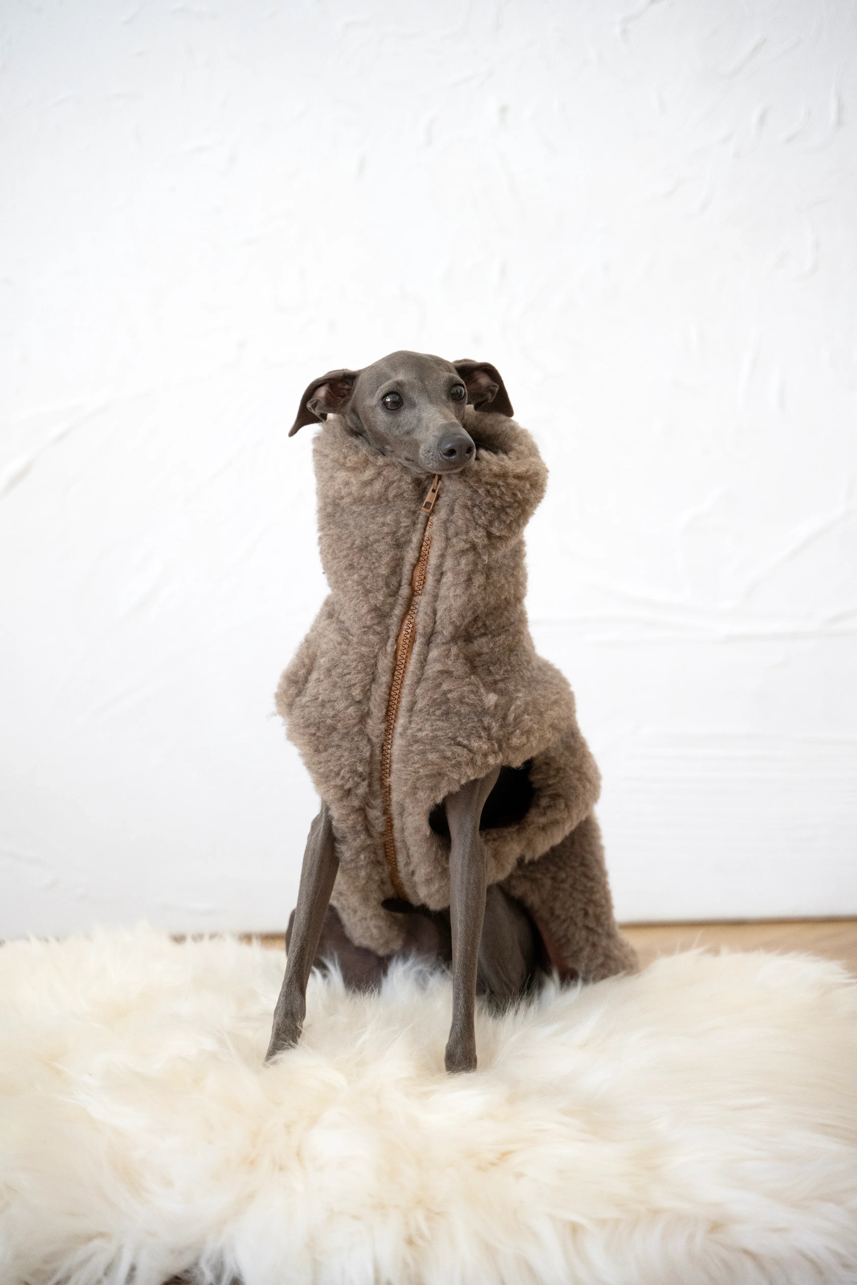 Lana perro Vest - beige