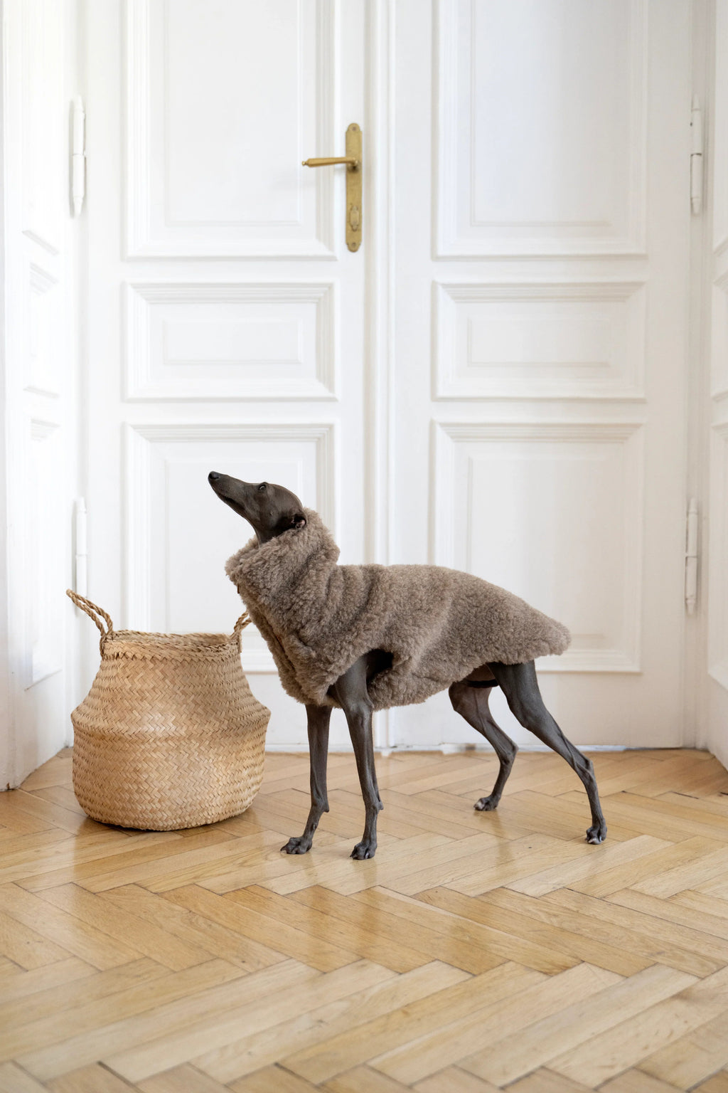 Lana perro Vest - beige