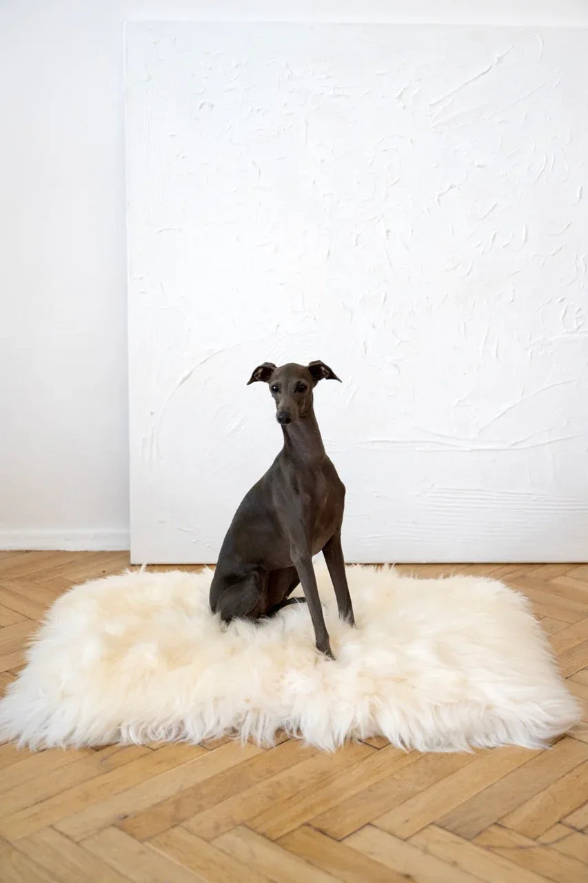 Tapis natural de piel de oveja pour animaux cuadrada o rectangular - blanc