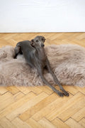 Tappeto natural di piel di oveja per animali cuadrada o rectangular - greige