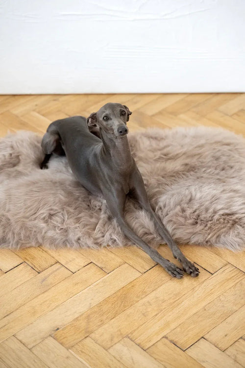 Tappeto natural di piel di oveja per animali cuadrada o rectangular - greige