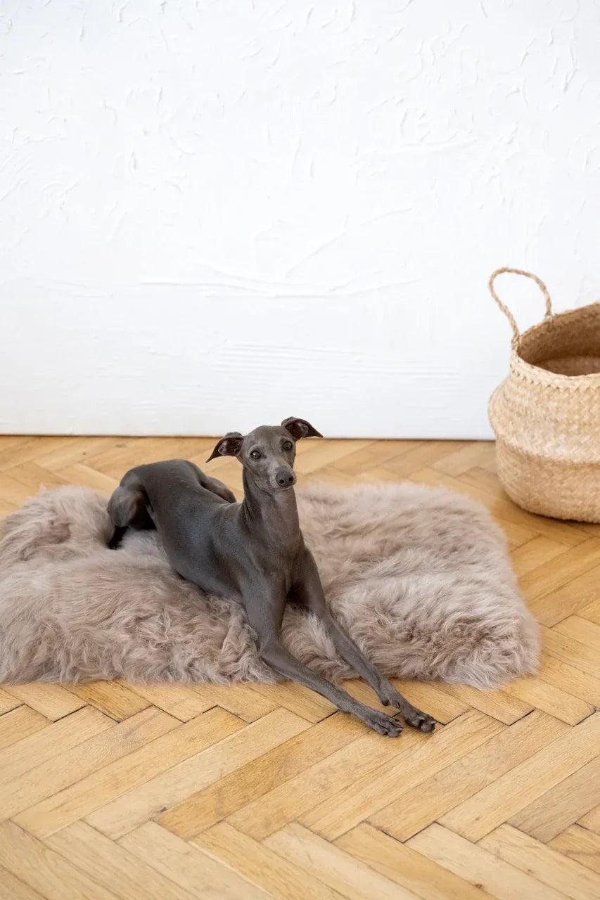 Tappeto natural di piel di oveja per animali cuadrada o rectangular - greige