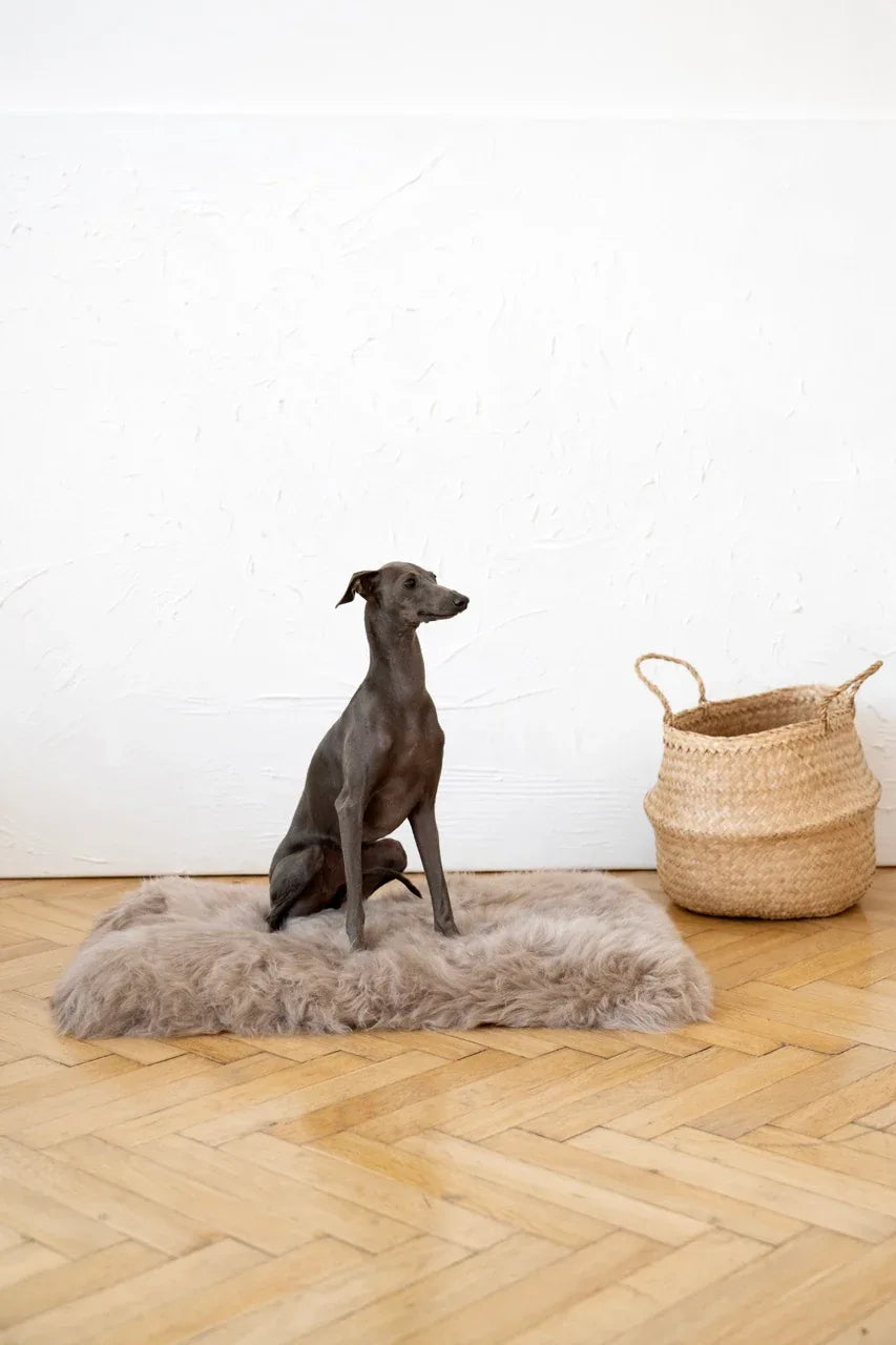 Alfombra natural de piel de oveja para mascotas cuadrada o rectangular - greige