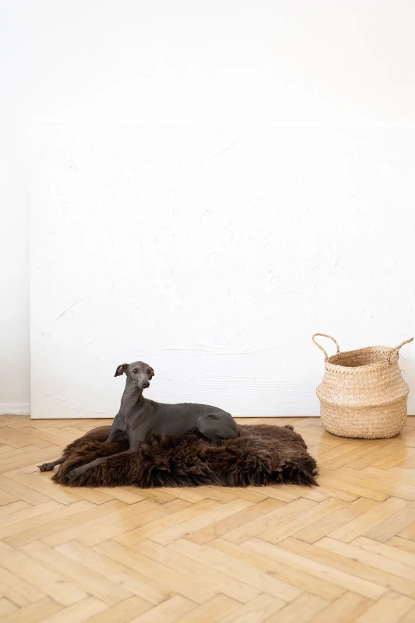 Teppich natural aus piel aus oveja für Haustiere cuadrada o rectangular - marron