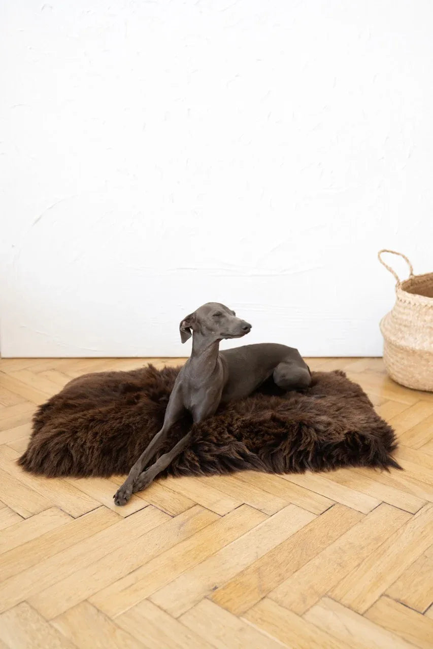 Teppich natural aus piel aus oveja für Haustiere cuadrada o rectangular - marron