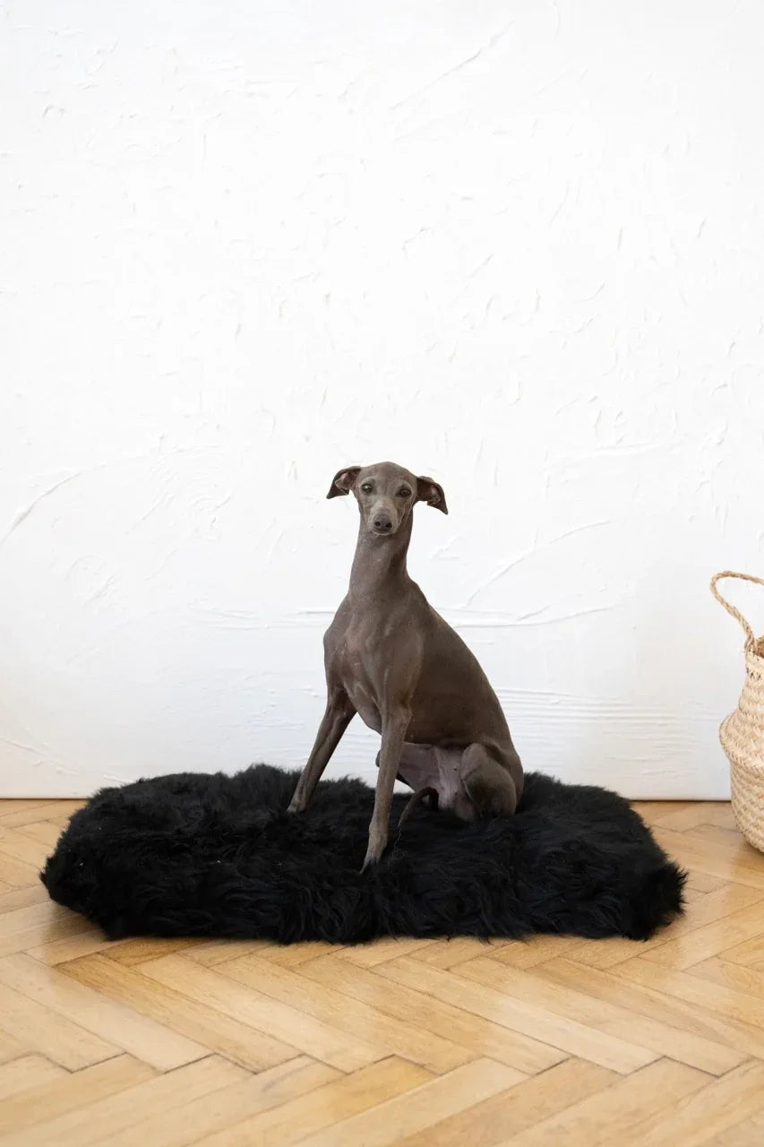Tapis natural de piel de oveja pour animaux cuadrada o rectangular - noir