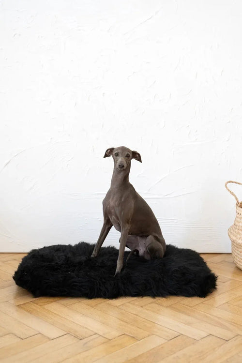 Tappeto natural di piel di oveja per animali cuadrada o rectangular - nero