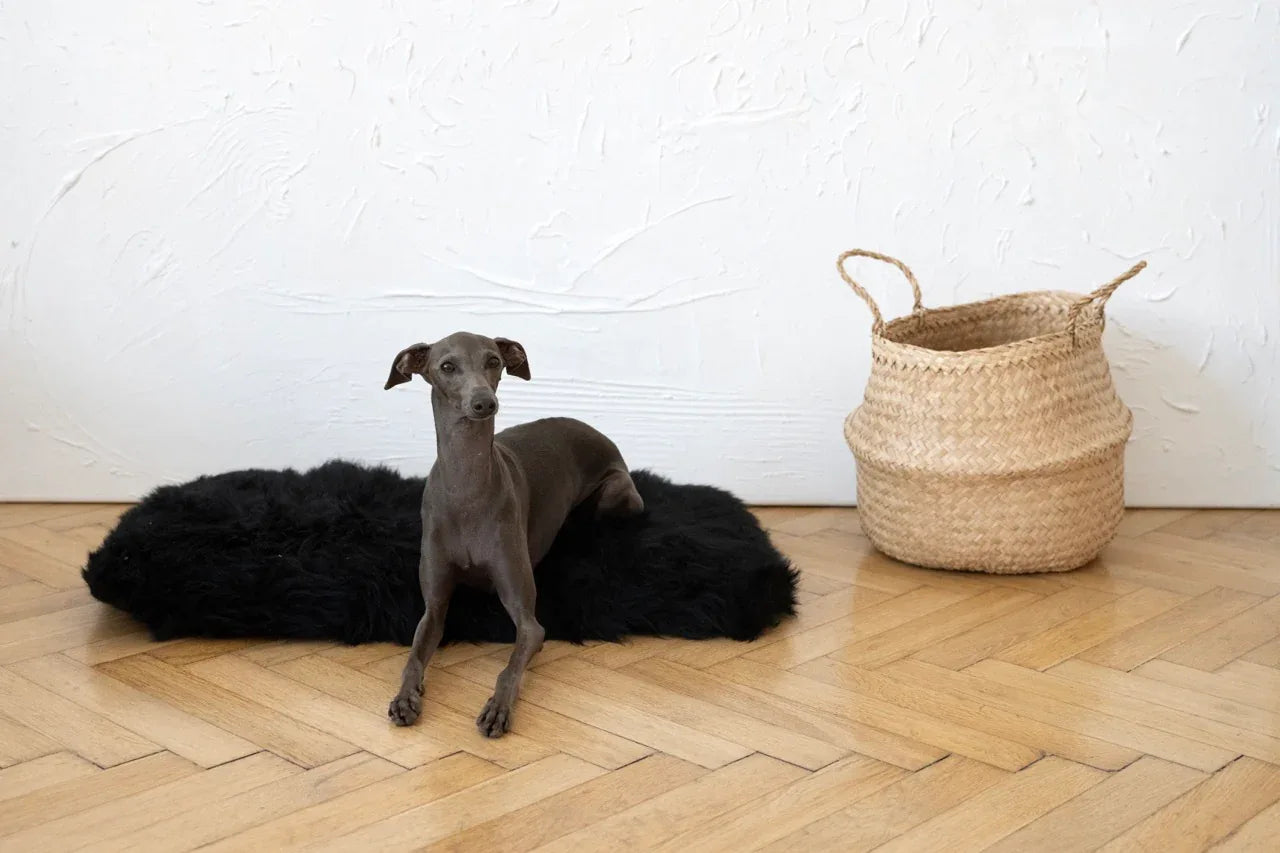 Tapis natural de piel de oveja pour animaux cuadrada o rectangular - noir