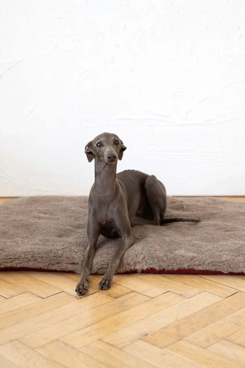 Alfombra natural de lana para mascotas cuadrada o rectangular - beige