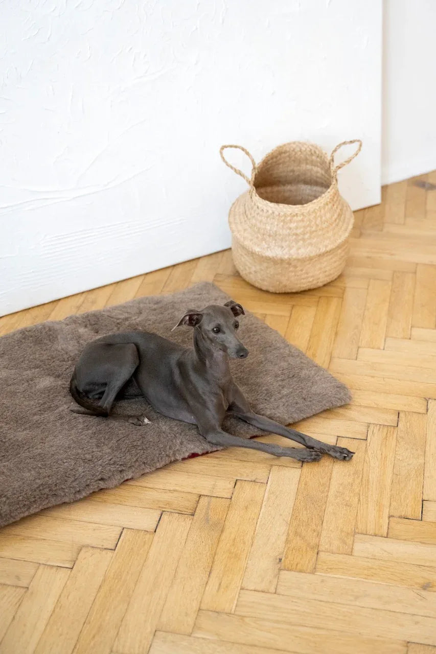 Alfombra natural de lana para mascotas cuadrada o rectangular - beige