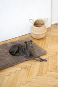 Alfombra natural de lana para mascotas cuadrada o rectangular - beige
