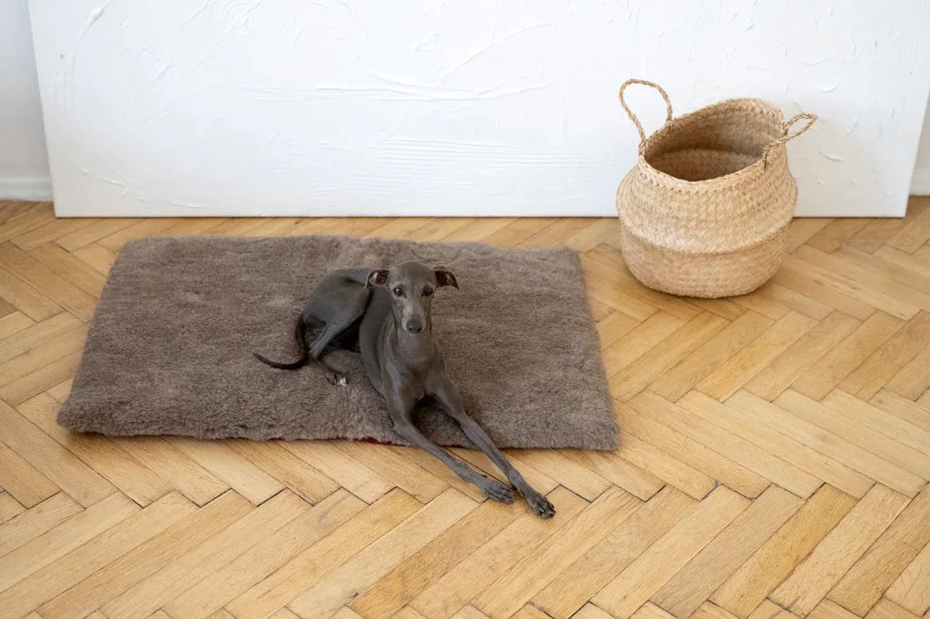 Alfombra natural de lana para mascotas cuadrada o rectangular - beige