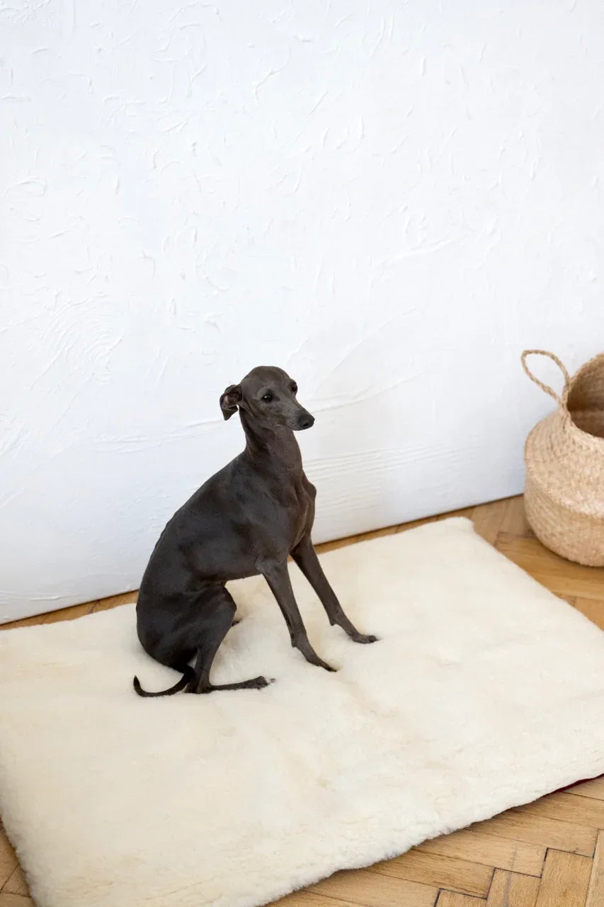 Teppich natural aus lana für Haustiere cuadrada o rectangular - weiß