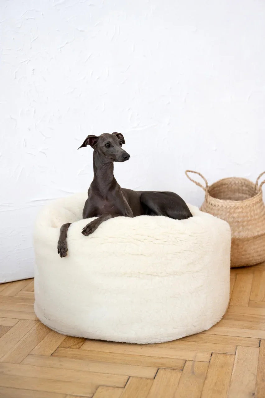 Cama ovalada de lana natural para mascotas - blanco