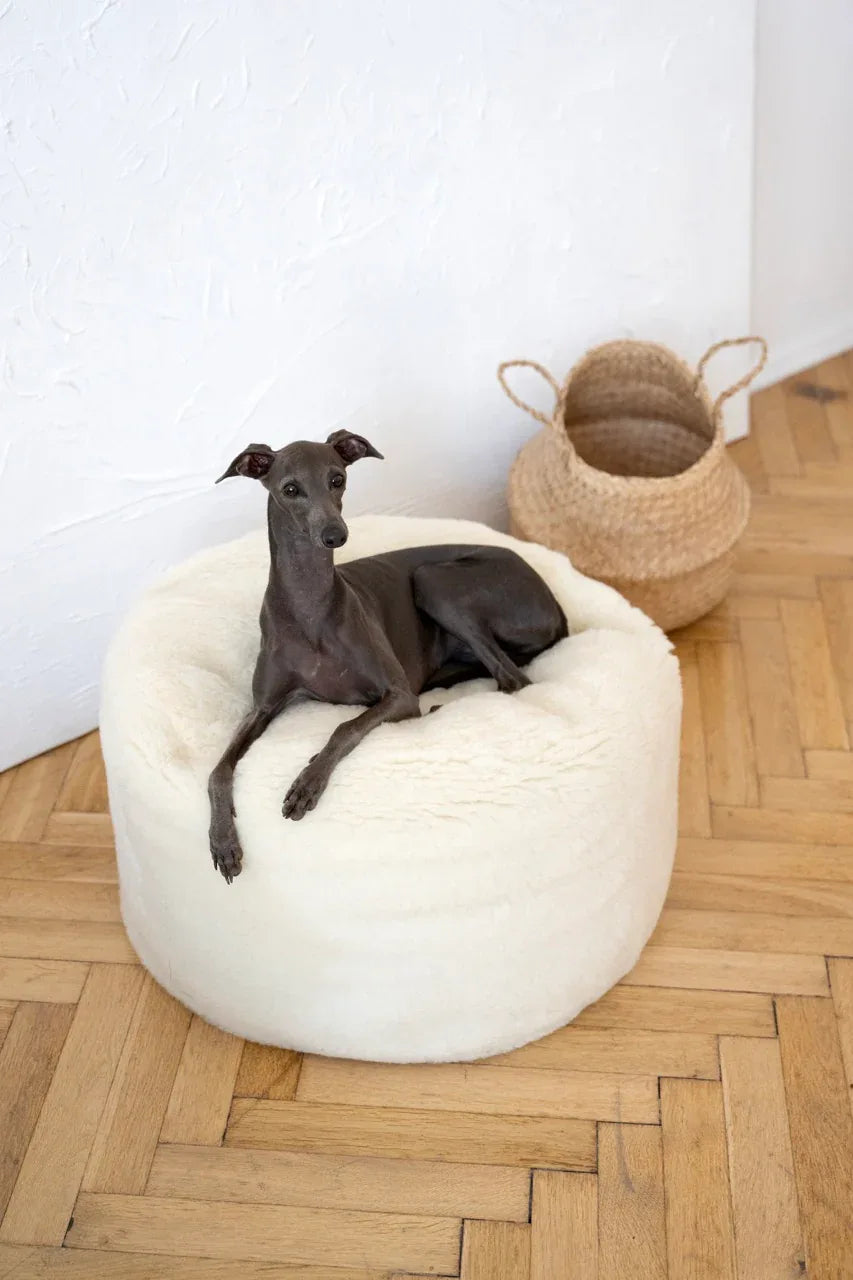 Cama ovalada de lana natural para mascotas - blanco