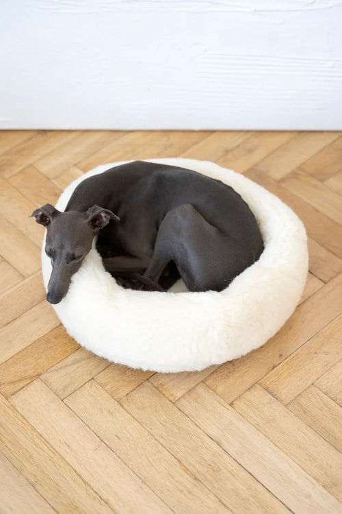 Cama redonda de lana natural para mascotas - blanco