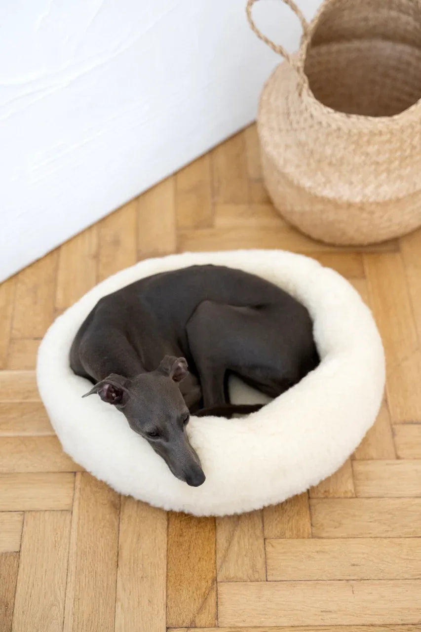 Cama redonda de lana natural para mascotas - blanco