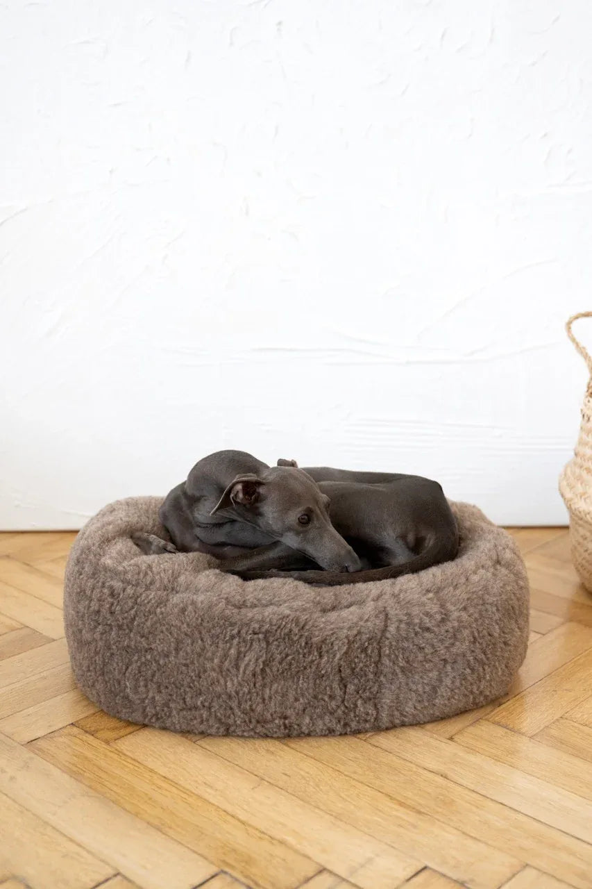 Bett ovalada aus natürliche Wolle für Haustiere - beige