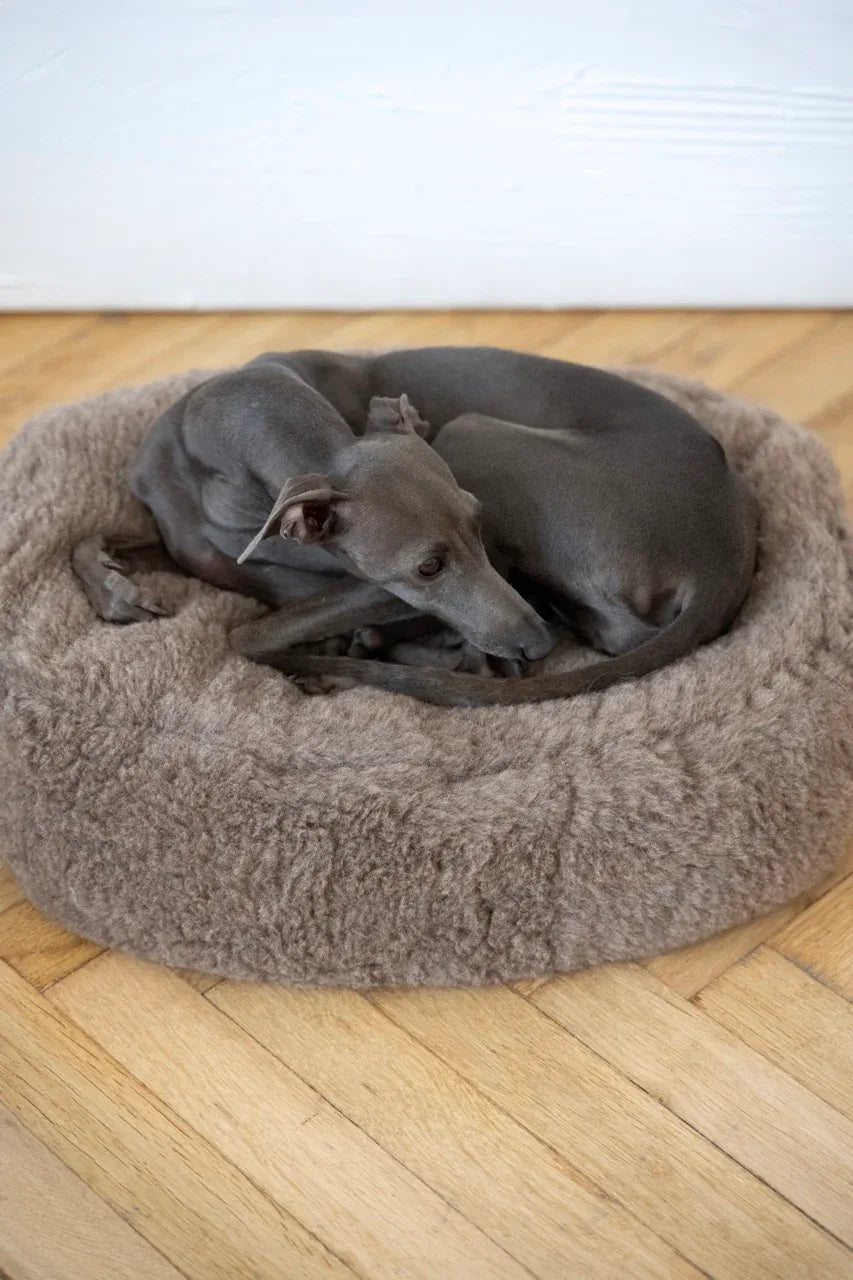 Cama ovalada de lana natural para mascotas - beige