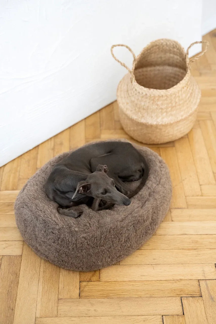 Bett ovalada aus natürliche Wolle für Haustiere - beige