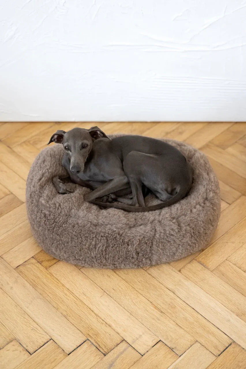 Bett ovalada aus natürliche Wolle für Haustiere - beige