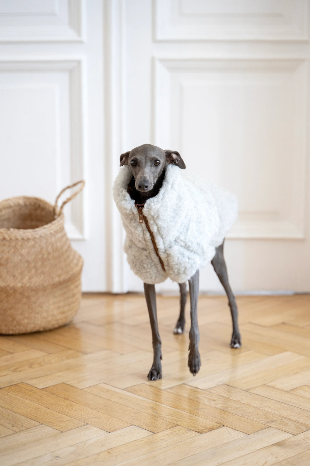 Lana cane Vest - Light grigio