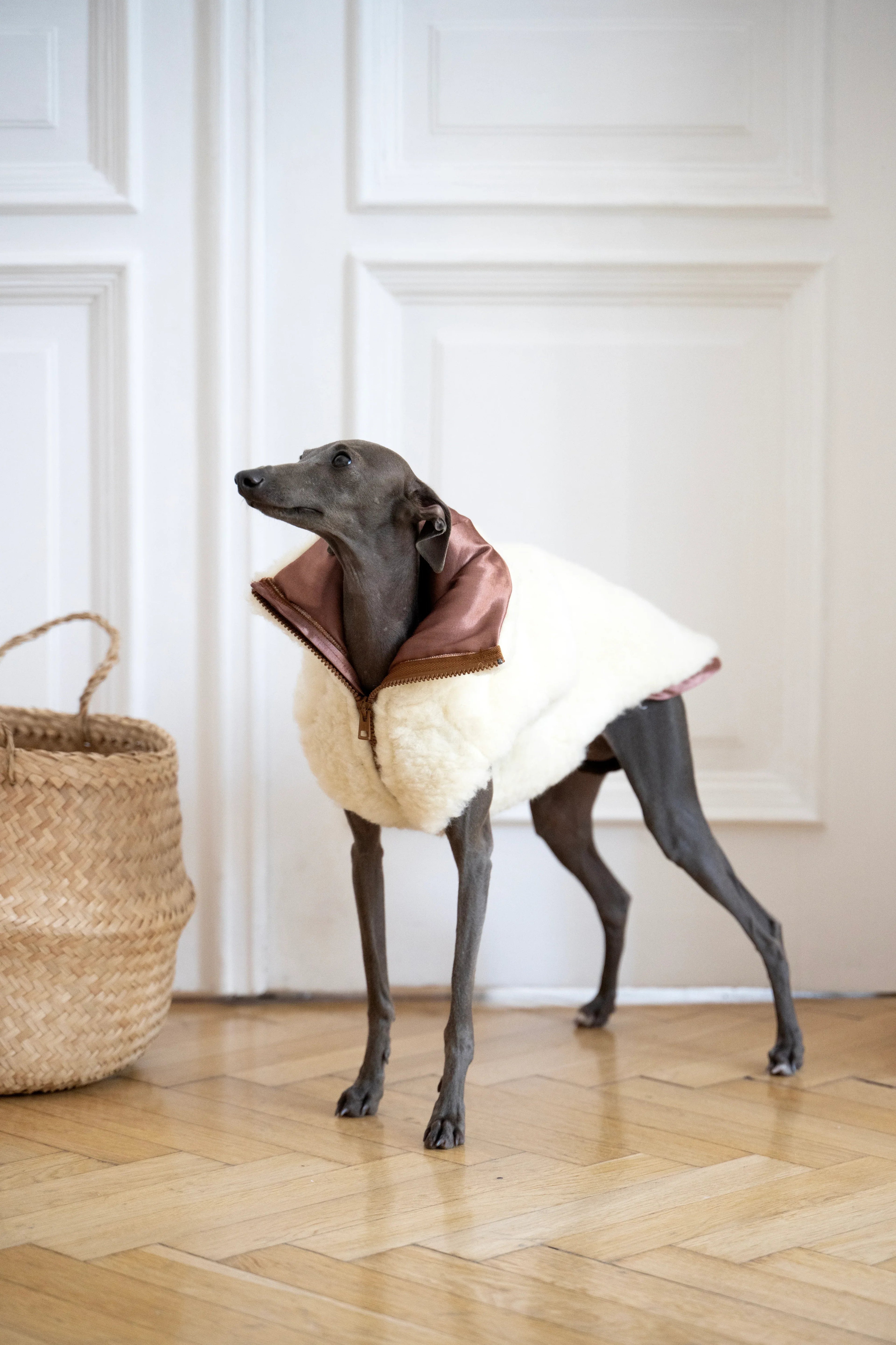 Lana perro Vest - blanco