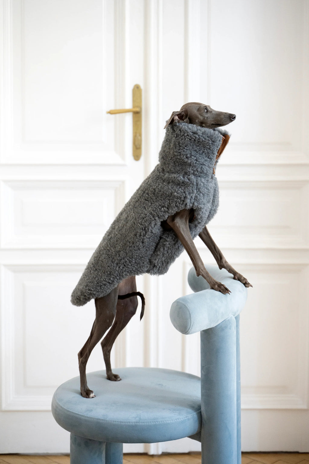 Lana perro Vest - Dark gris