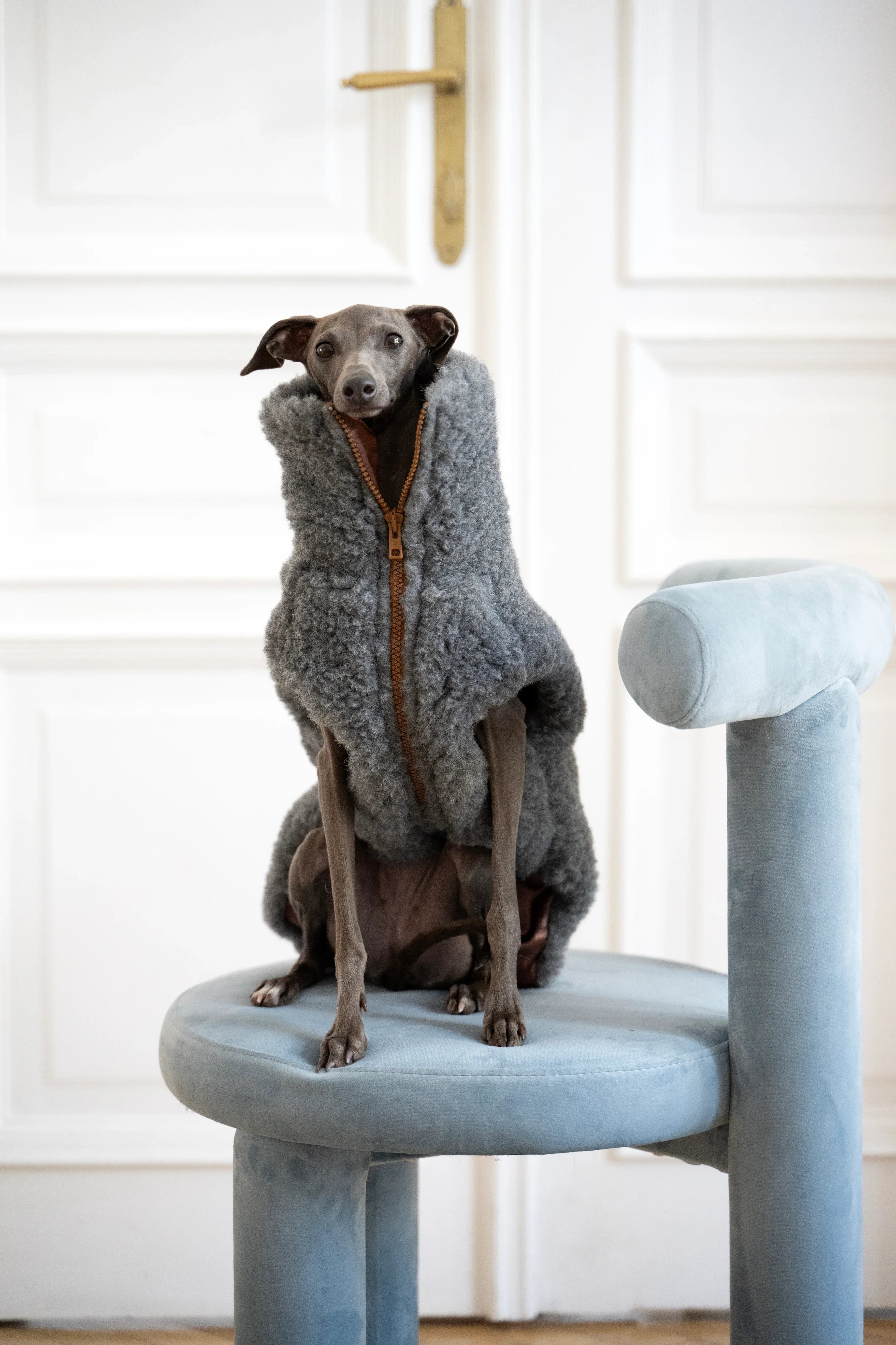 Lana perro Vest - Dark gris