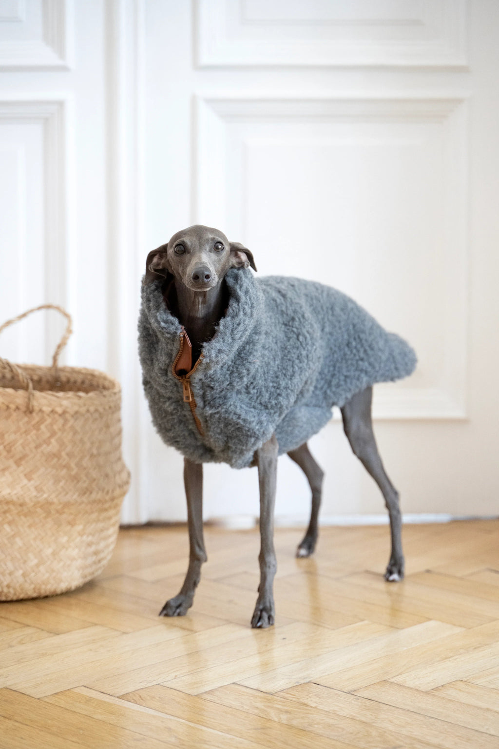 Lana perro Vest - Dark gris